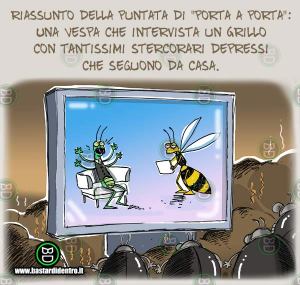 BD3354-Riassunto-di--Porta-a-Porta-