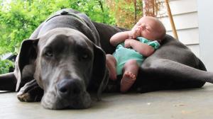 02bimbo-U10302177128355WtG--990x556@LaStampa_it