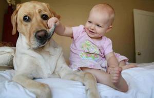 14bimbo-U10302177128355nqF--990x556@LaStampa_it