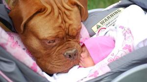 15bimbo-U10302177128355kjF--990x556@LaStampa_it