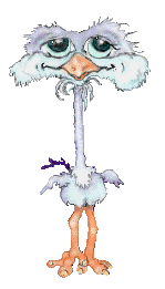 Animali - Uccelli (2)