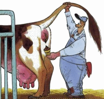 Gif-animate-gratis-cacca-gelato-gif-animated