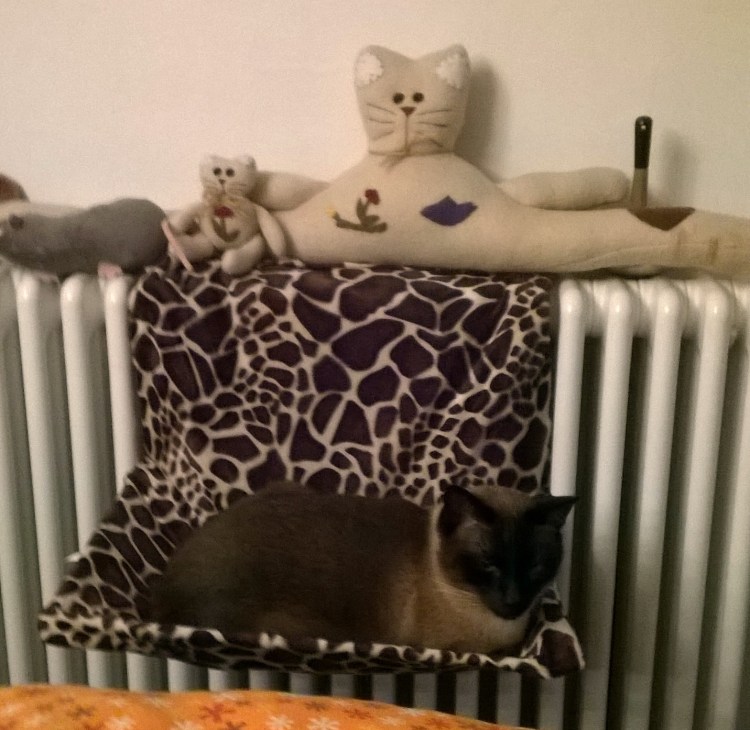 WP_20141215_001-crop