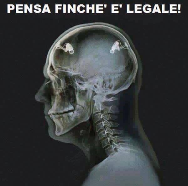 11027506_977419045642522_1267727166578183669_n