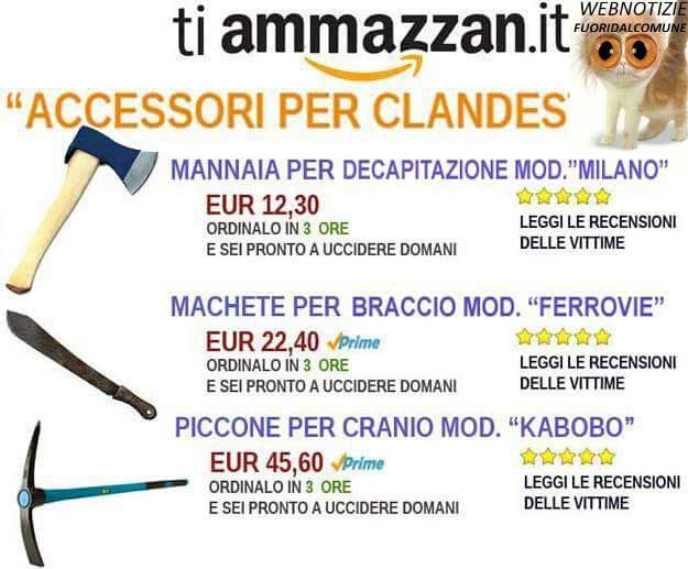 11183443_646194688850059_7880886818734027506_n