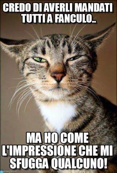 11222645_996708927027912_2210819992065444910_n