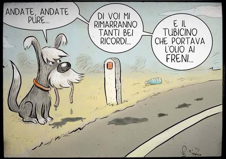 11755898_1002384906479417_1975527628925017131_n