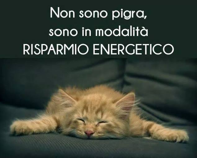 1555506_10153283769972427_4165329673606356648_n