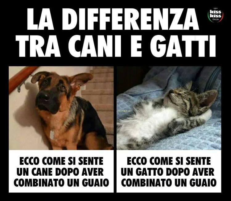 10345935_10152512113572976_5686665567929883777_n