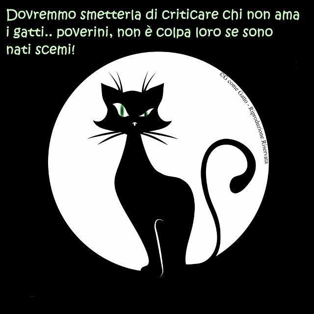 10981534_840588299312736_5288304065011089539_n