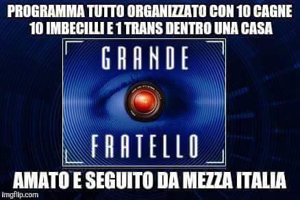 12039575_695757457227115_70037438758008778_n