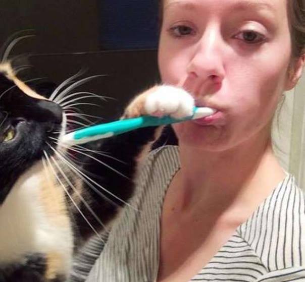 12088361_922461087836648_351366220554765963_n