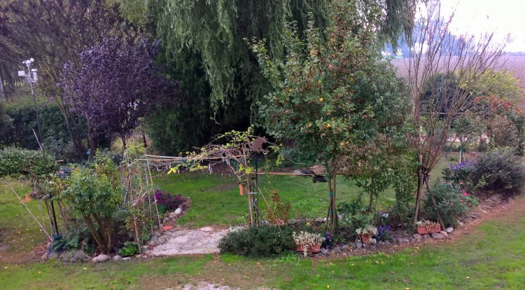 WP_20151018_09_05_18_Pro-crop