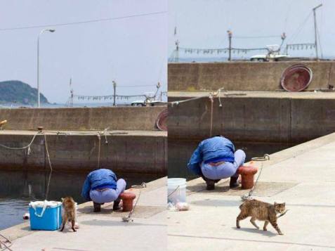 12195931_930796767003080_742341467984089241_n