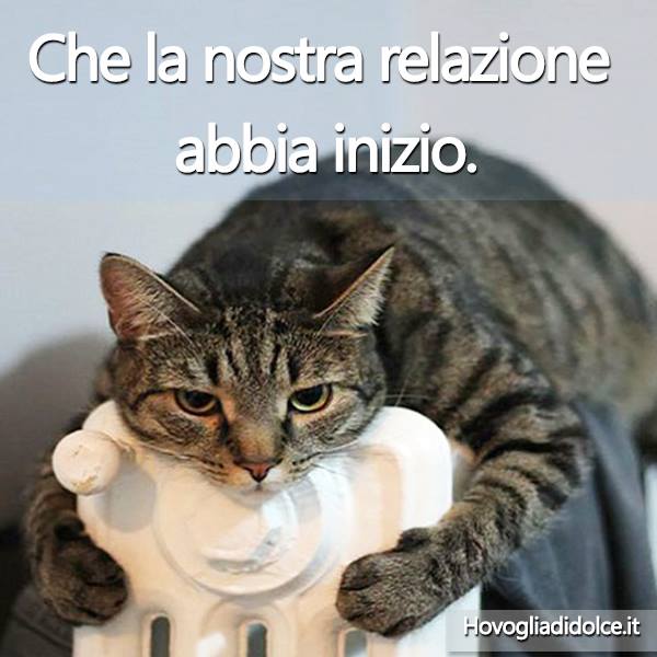 12294749_934301239991021_5796510036706201244_n