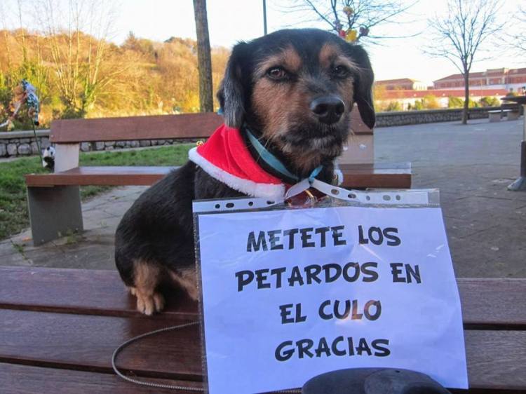 12247108_10206330322030747_7558718181362516065_n