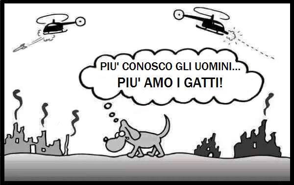 12278770_1686050461613517_3852855927216497714_n