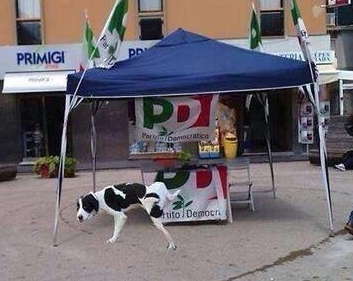 12341397_1671612449775916_4655692580455109408_n-crop