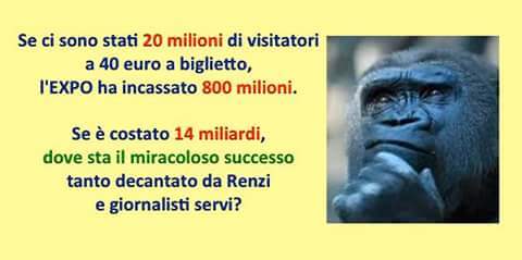 7067_1222748171086425_2602887197839519757_n