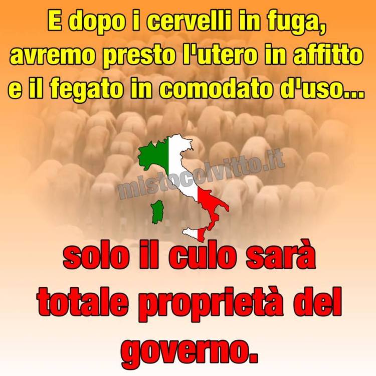 12552617_1680584342196464_8942504239611162304_n