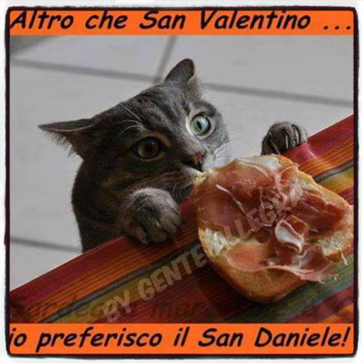 12654376_1113189168732015_161757853930790371_n