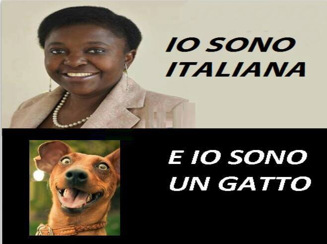 12654585_772940626171859_2025508658642788741_n