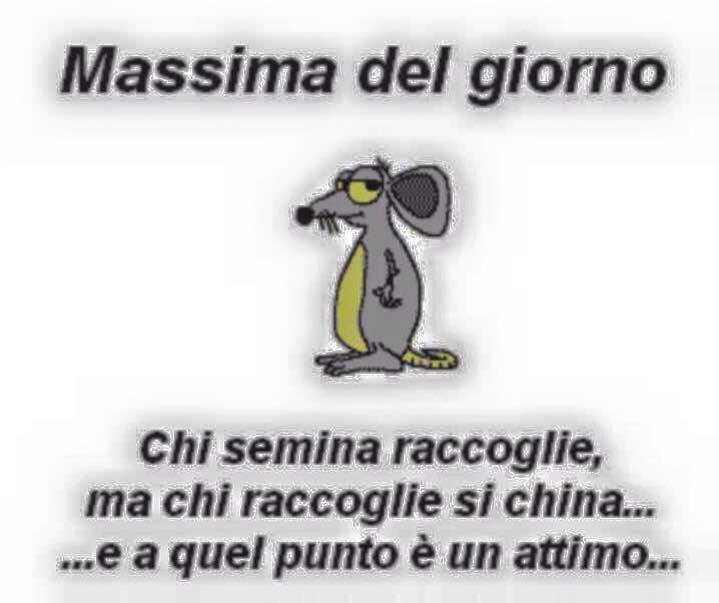 12717483_1110252375673566_8397565188374471258_n