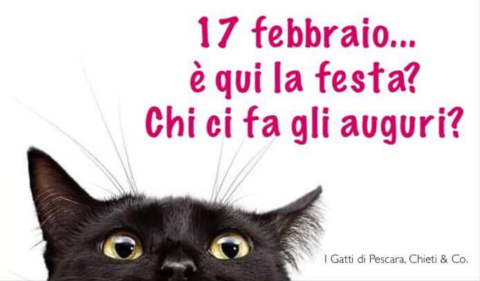 12742813_10208837130515769_1099768803767263864_n