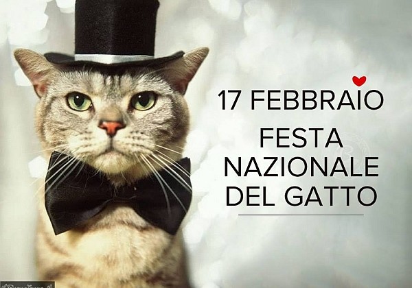 festa-del-gatto1-600x420