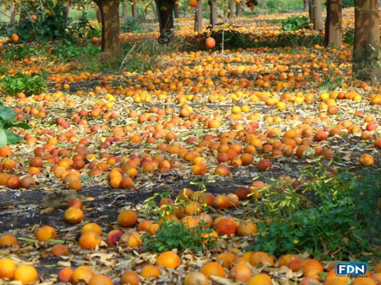 10399653_1722384088006604_8678957044923036724_n