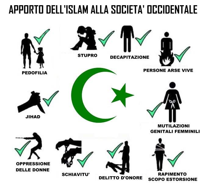 12809634_1541910486107065_6659073915180245940_n