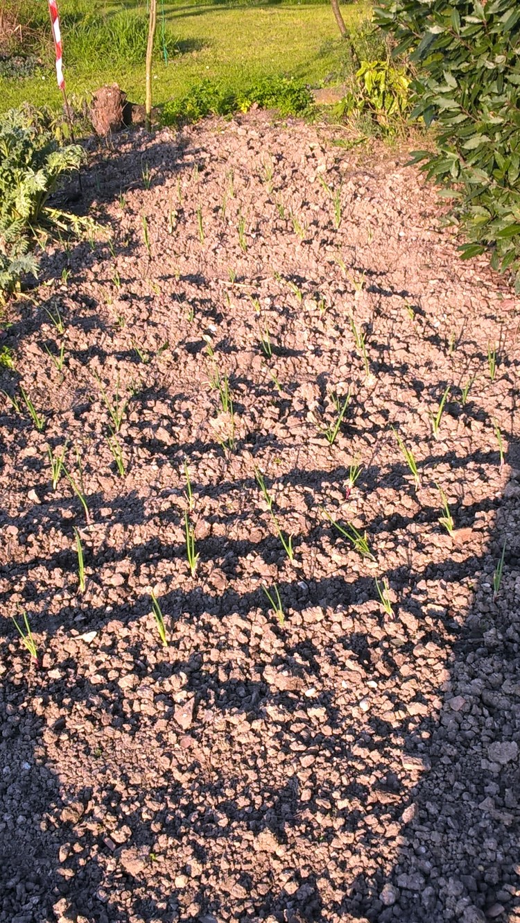 WP_20160321_17_13_18_Pro