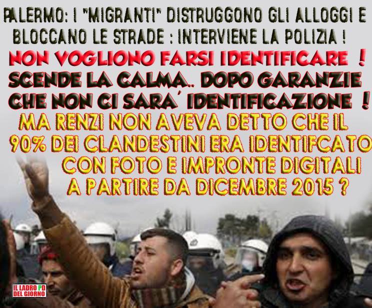 12961745_959511210835883_1769146054780665731_n