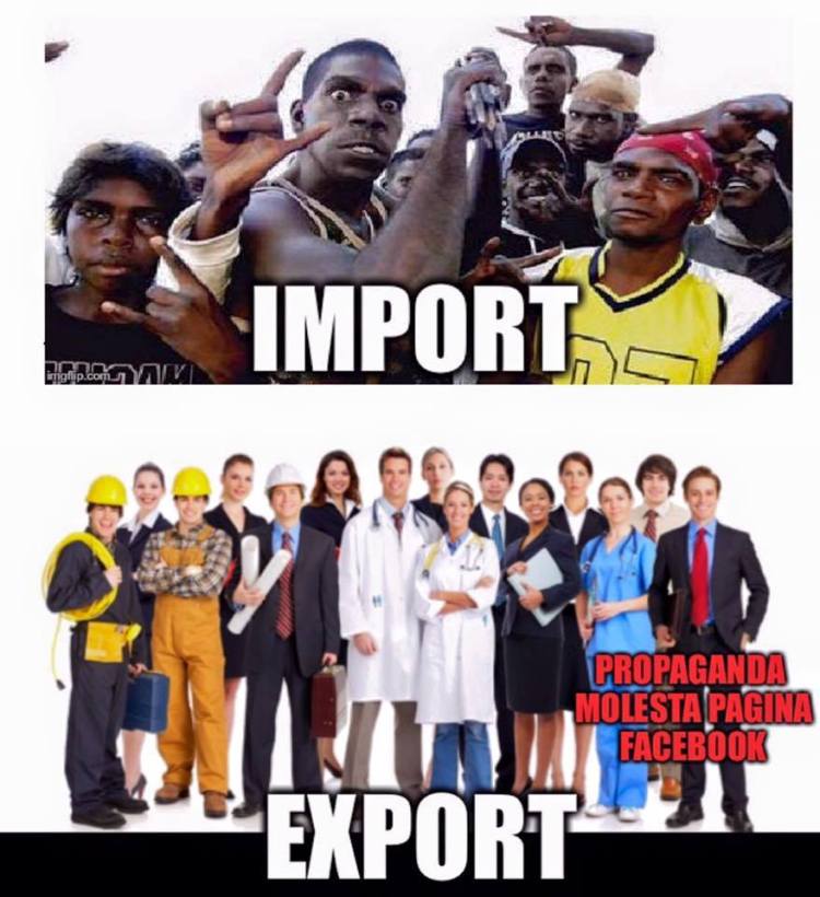 13010852_983042221780325_871956202295571213_n