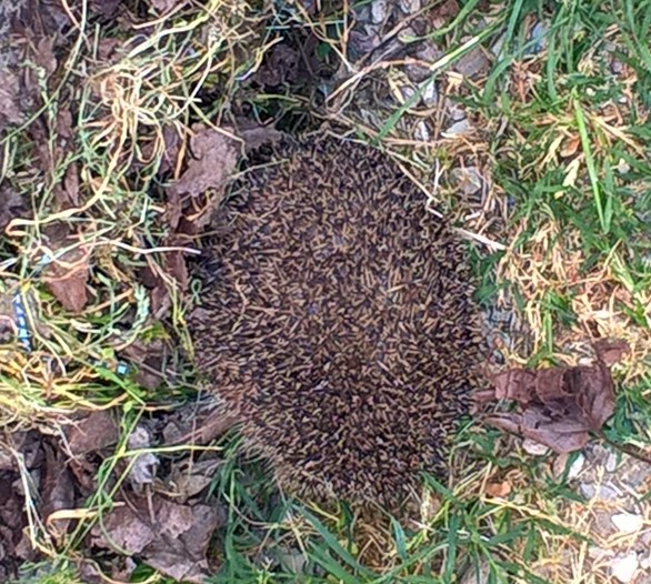 WP_20160420_10_25_43_Pro-crop