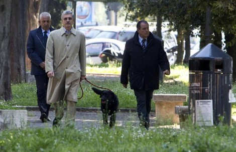 MASSIMO D'ALEMA A PASSEGGIA CON IL CANE