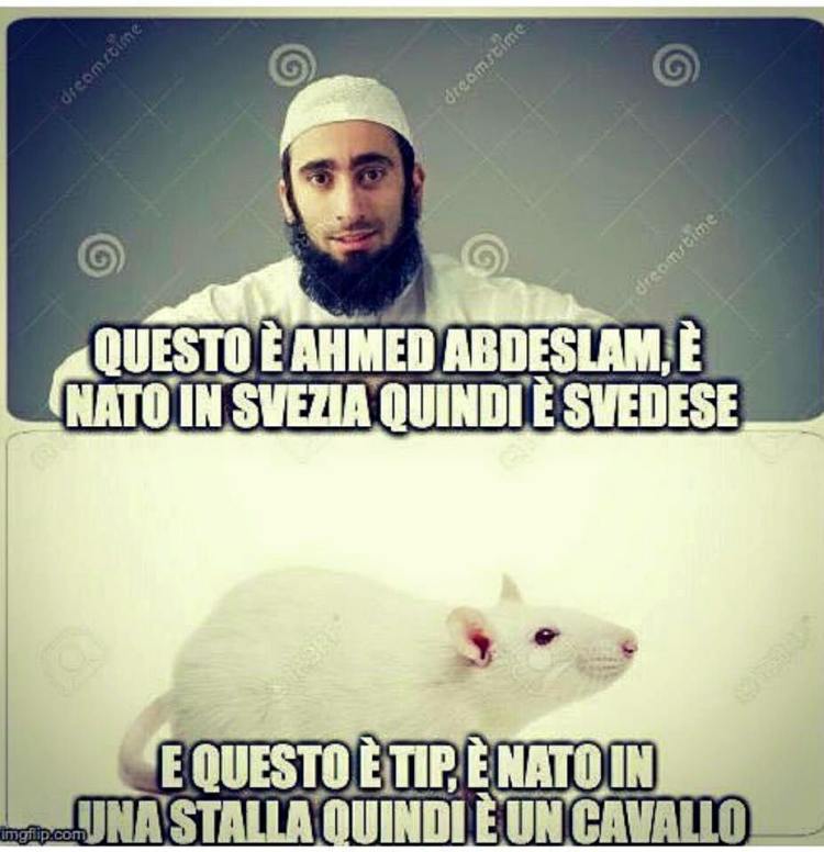 13619973_825797150853204_6993542224359931790_n