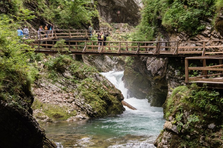 hiking-trail-and-bridge-over-the-radovna-river-along-vintgar-gorge-near-bled-slovenia