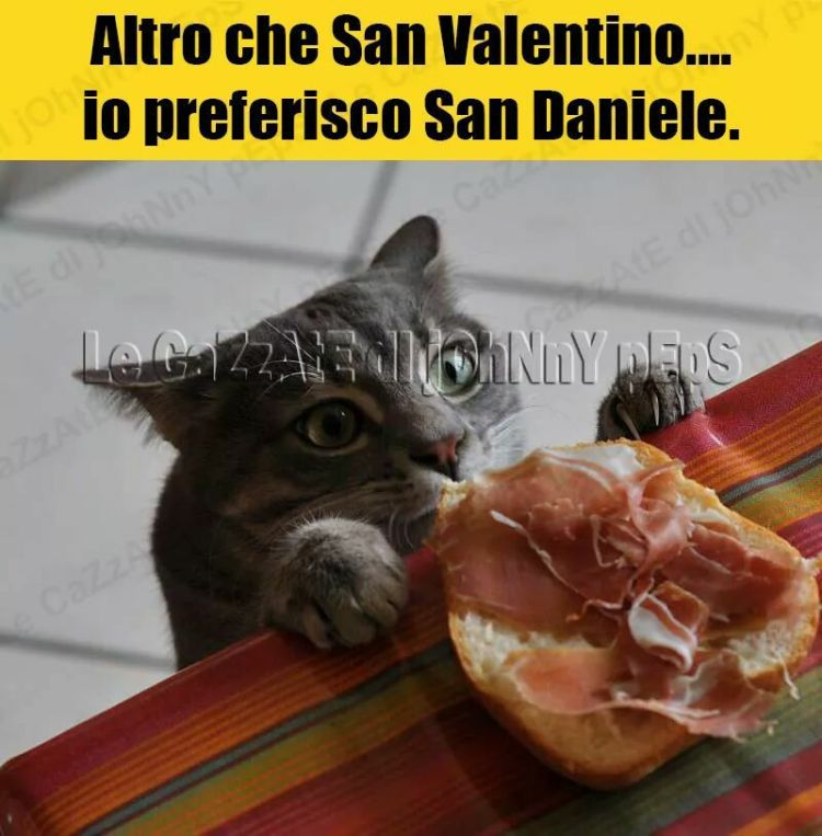 16708290_386707435027266_3039163216236959414_n