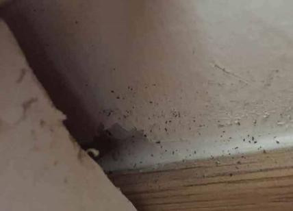 casette-amatrice-0110