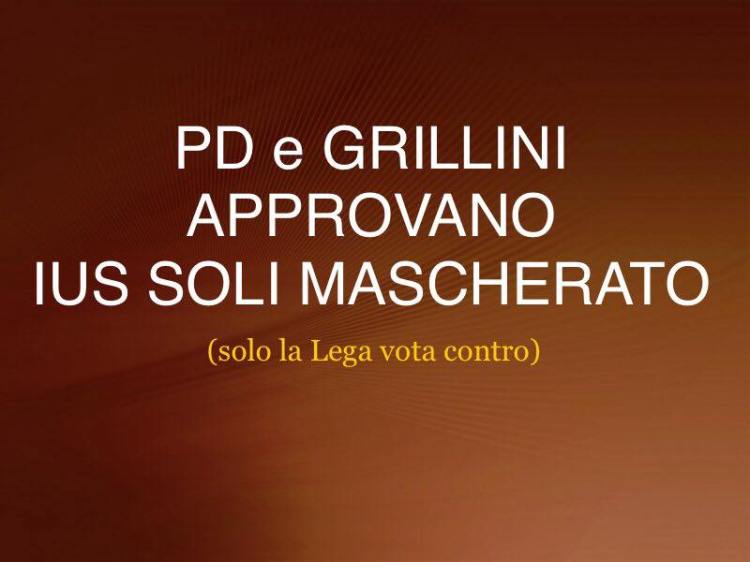 grilloidi
