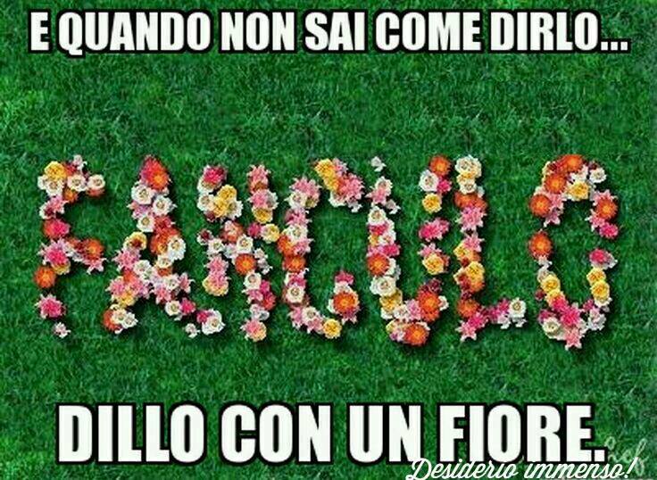 dilloconunfiore