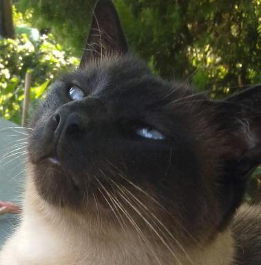 23561854_110337696411445_6678134292326023558_n