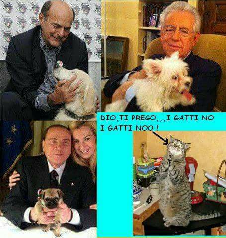 27544911_10209968104470776_3980038334694655526_n