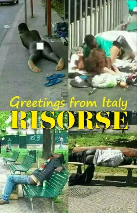 27654434_610795015929556_7719192856954982037_n