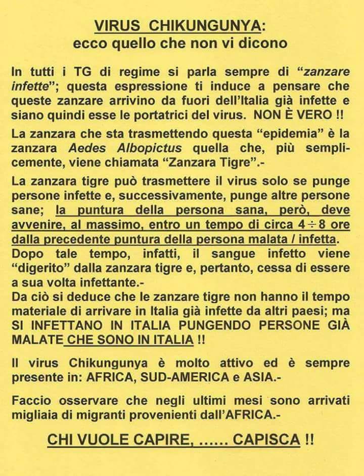 41992226_2145662265691725_7634134391014293504_n