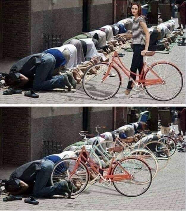 49044838_1259913817489447_2560542107534098432_n