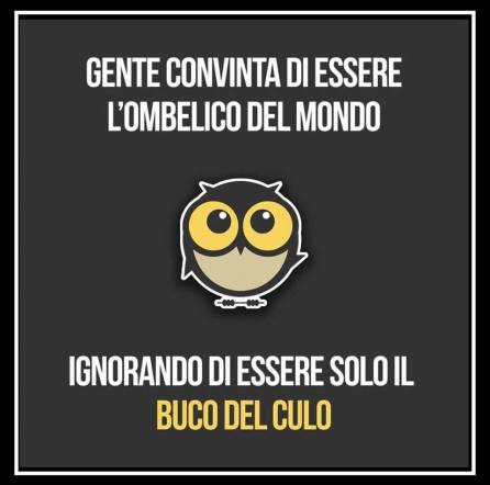 20992875_1278234278970707_2595034380477661433_n