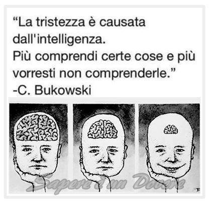 23316628_1939975329351164_8903662647029725609_n