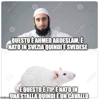 12472267_1698883740397598_5326765513895202096_n